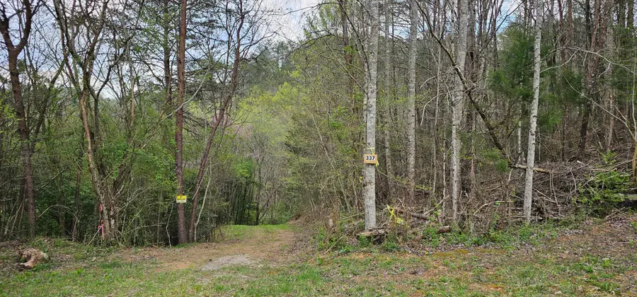 337 Price Road, Reliance, TN 37369 - Image #3