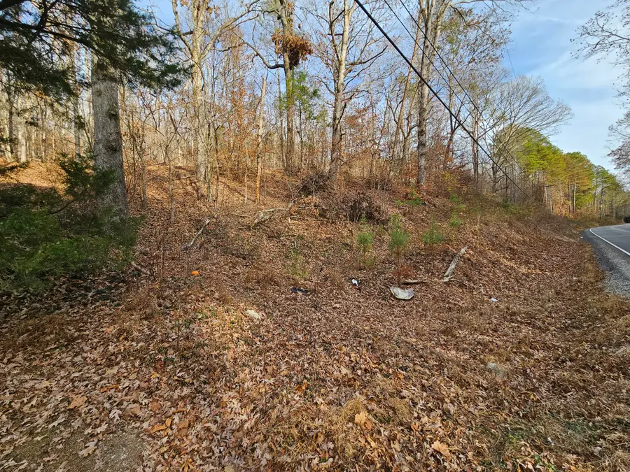 Lot 7 Smyrna Road, Evensville, TN 37332 - #2