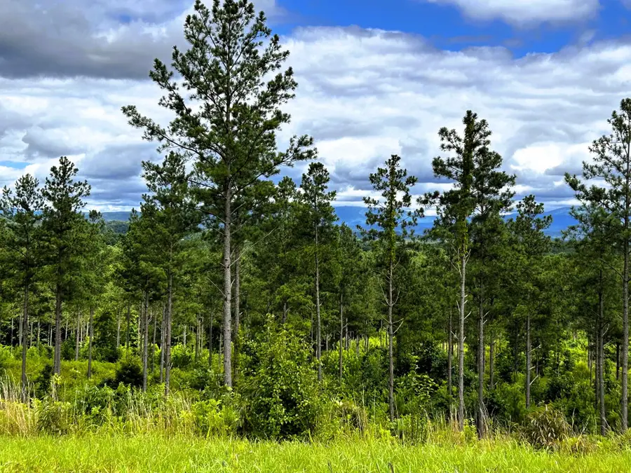 Tract 26a Hughes Lake Road Se, Cleveland, TN 37323 - #3
