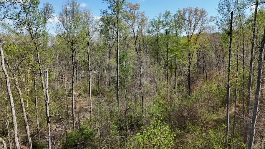 000 County Road 675, Athens, TN 37303 - Image #2