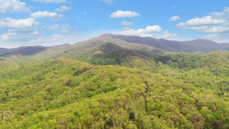 385 Elrod Circle, Turtletown, TN 37391 - Image #3