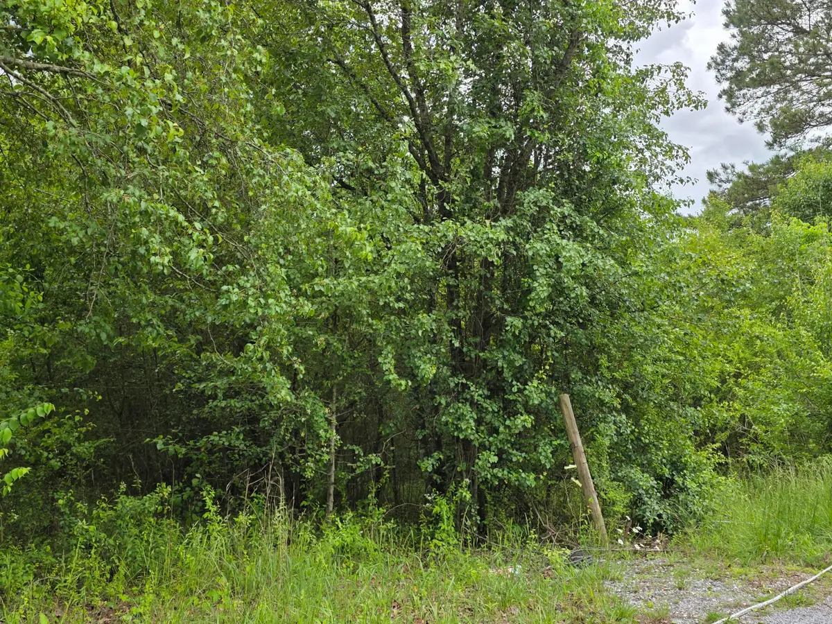 00 County Road 101, Riceville, TN 37370 - Image #1