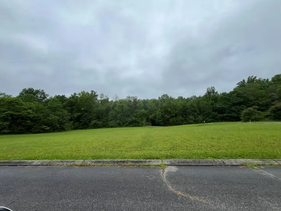 0 Frank Circle Circle, Dayton, TN 37321 - Image #3