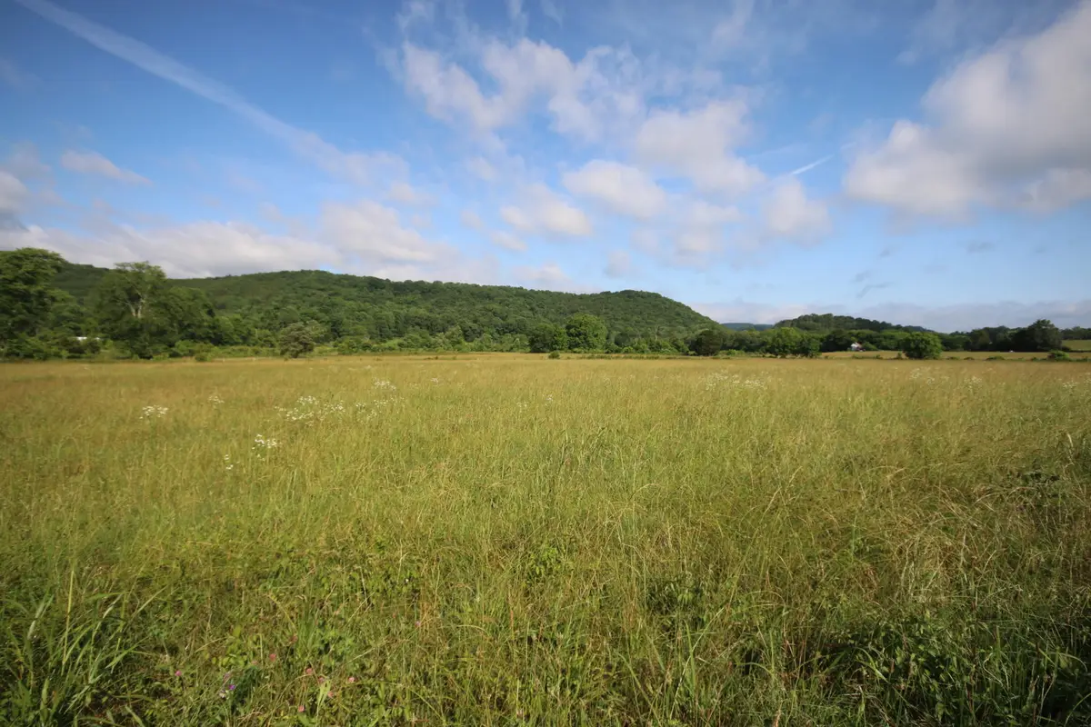 110 Acres Bivens Rd., Tellico Plains, TN 37385 - Image #1