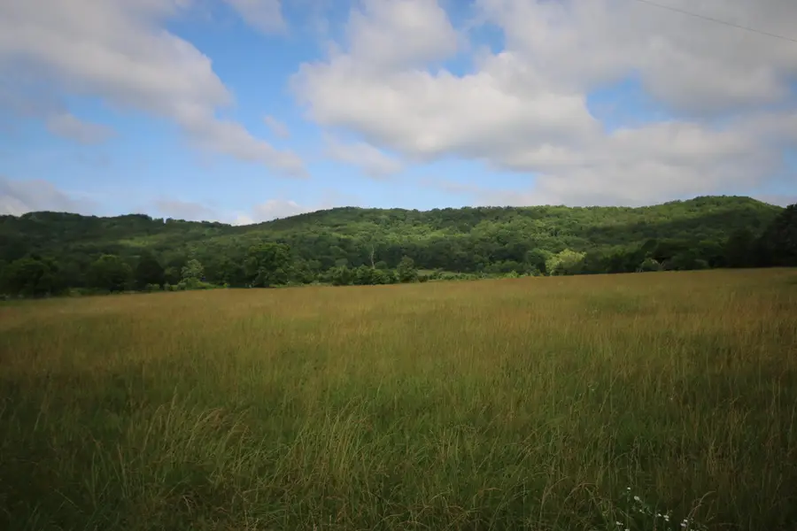 110 Acres Bivens Rd., Tellico Plains, TN 37385 - Image #2