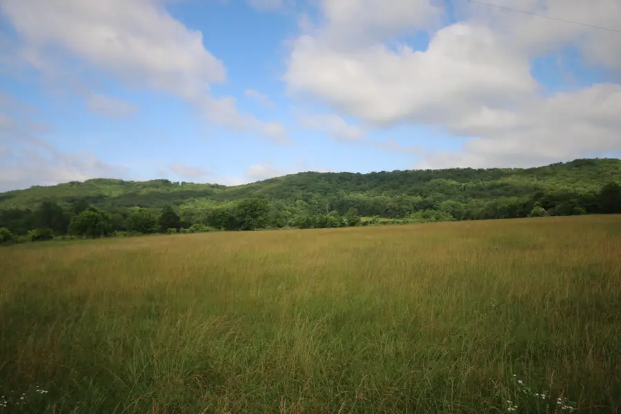 110 Acres Bivens Rd., Tellico Plains, TN 37385 - Image #3