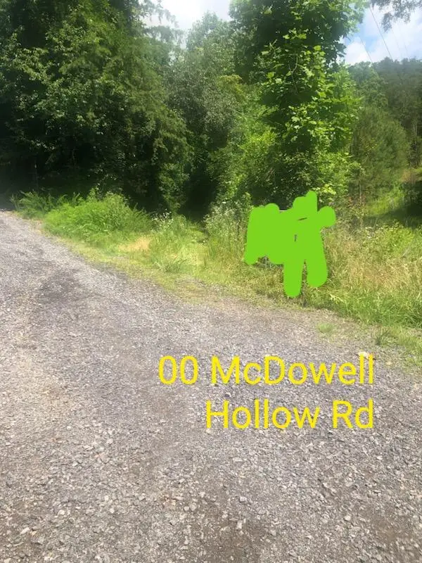 00 Mcdowell Hollow Road, Decatur, TN 37322 - Image #1