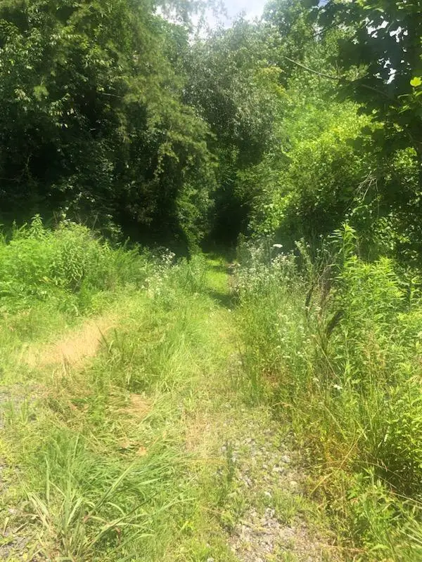 00 Mcdowell Hollow Road, Decatur, TN 37322 - Image #2