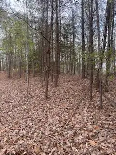 00 Mcdowell Hollow Road, Decatur, TN 37322 - Image #3