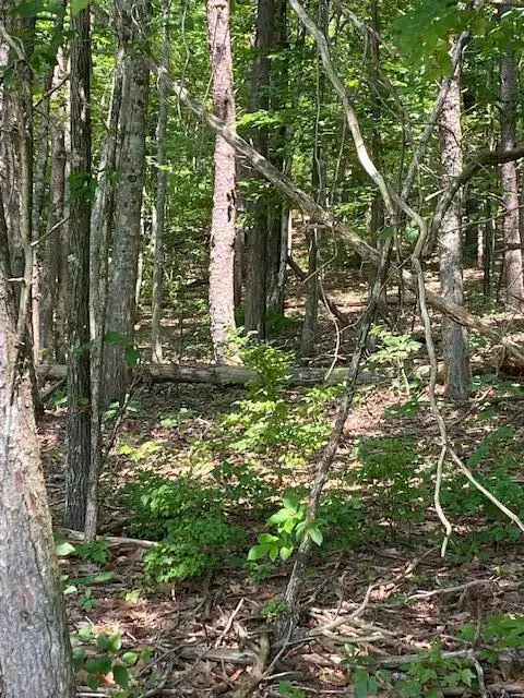 00000 Brayton Mountain Rd, Graysville, TN 37338 - Image #3