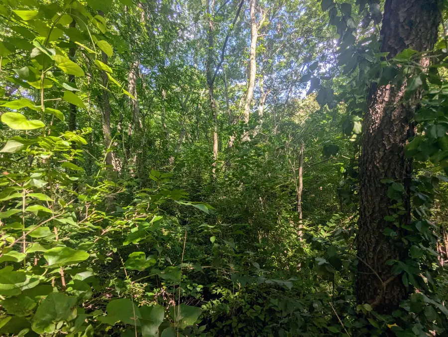 0 County Road 493, Etowah, TN 37331 - Image #3