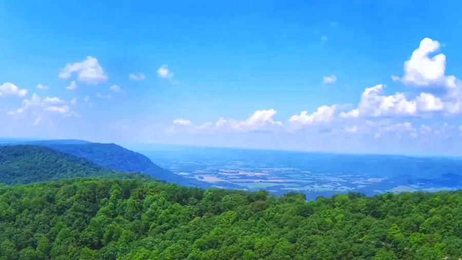 5.21 Acres Browns Holler Road, Spring City, TN 37381 - Image #3