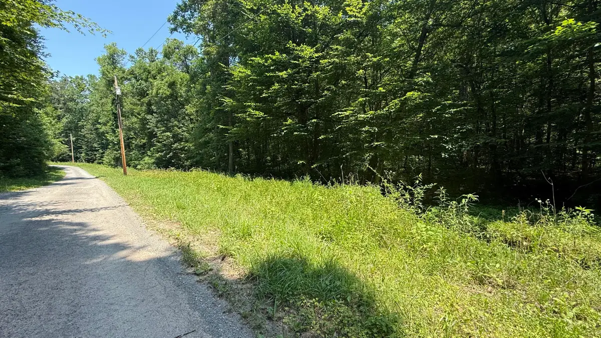 Lot 13 /14 Clifton Cemetery Road, Spring City, TN 37381 - Image #1