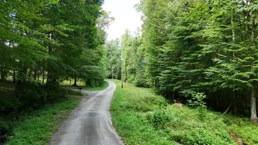 Lot 13 /14 Clifton Cemetery Road, Spring City, TN 37381 - Image #3