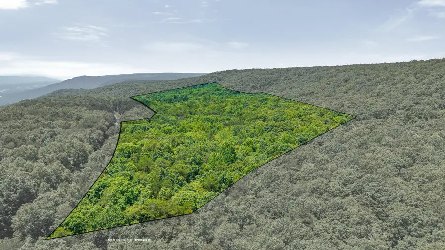 59.73 Ac Windridge Drive, Dunlap, TN 37327 - Image #3