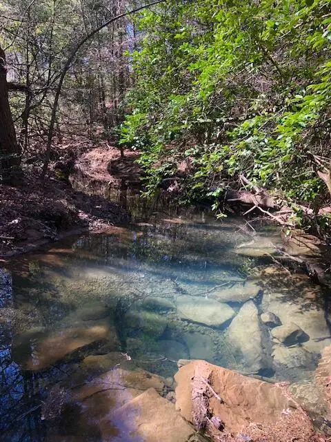 0 Sullivan Mill Lane, Graysville, TN 37338