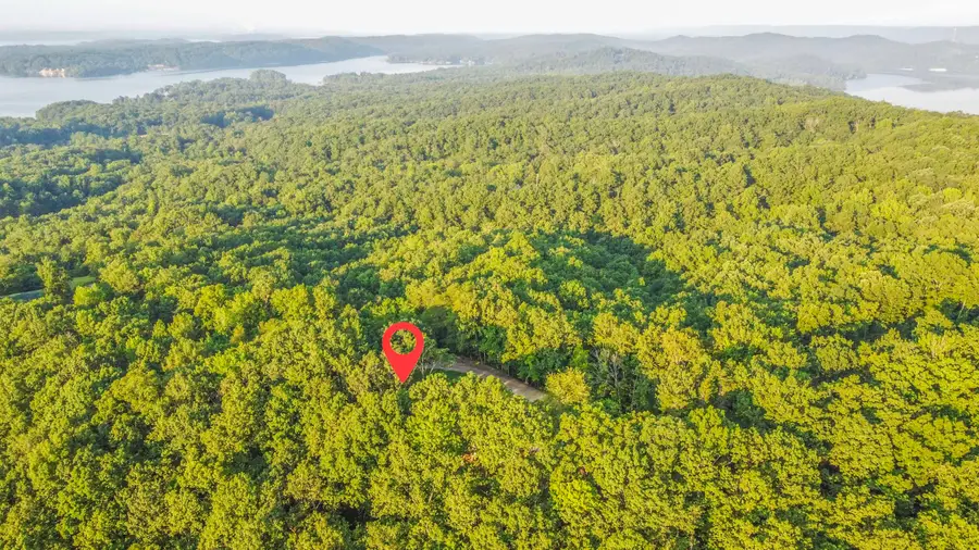 140 Mary Brown Lane, Rockwood, TN 37854 - #3