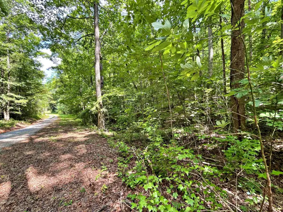 Lot 2 Raby Hollow Road, Kingston, TN 37763 - Image #3