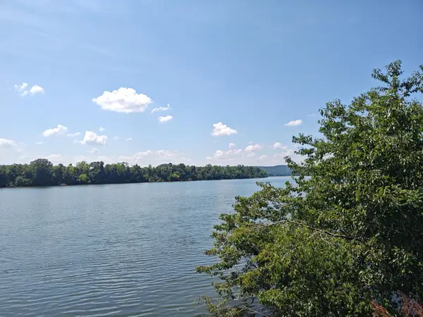 Lot 72 Espalier Drive, Decatur, TN 37322