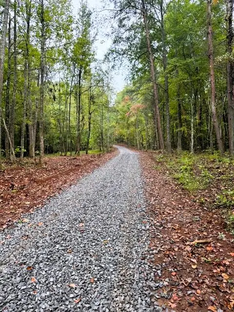 Tract 7 Pleasant Hill Road, Ten Mile, TN 37880 - Image #2