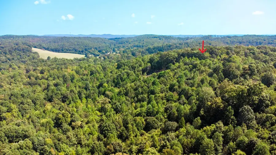 Tract 7 Pleasant Hill Road, Ten Mile, TN 37880 - Image #3