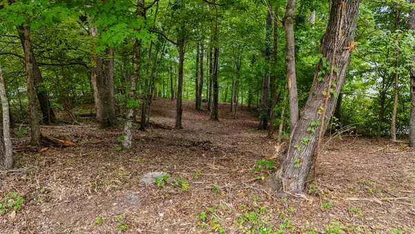 260 Sam Johnson Road, Georgetown, TN 37336