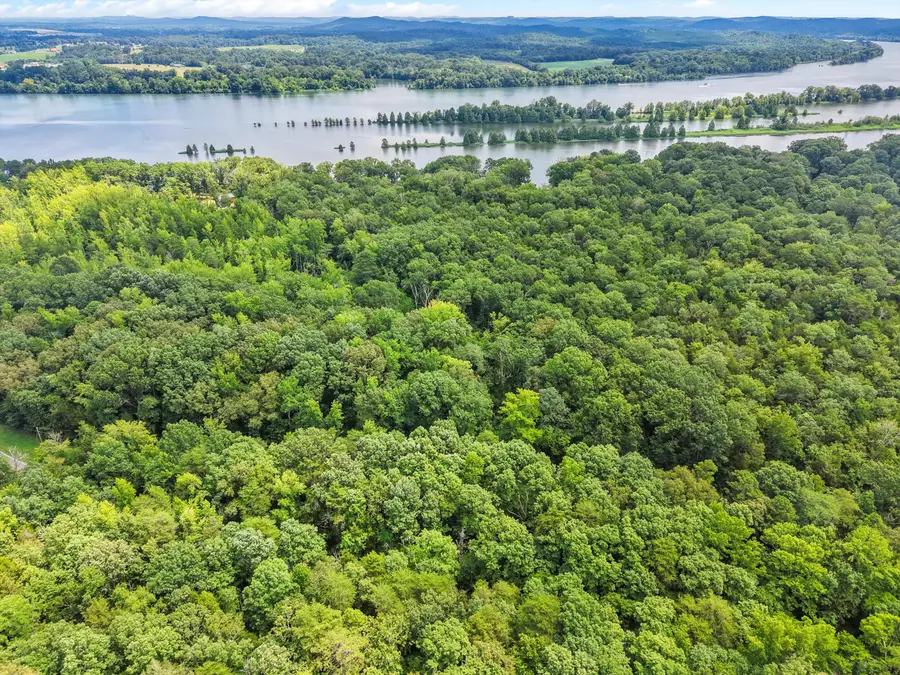Lot 31 Armstrong Ferry Road, Decatur, TN 37322 - #3