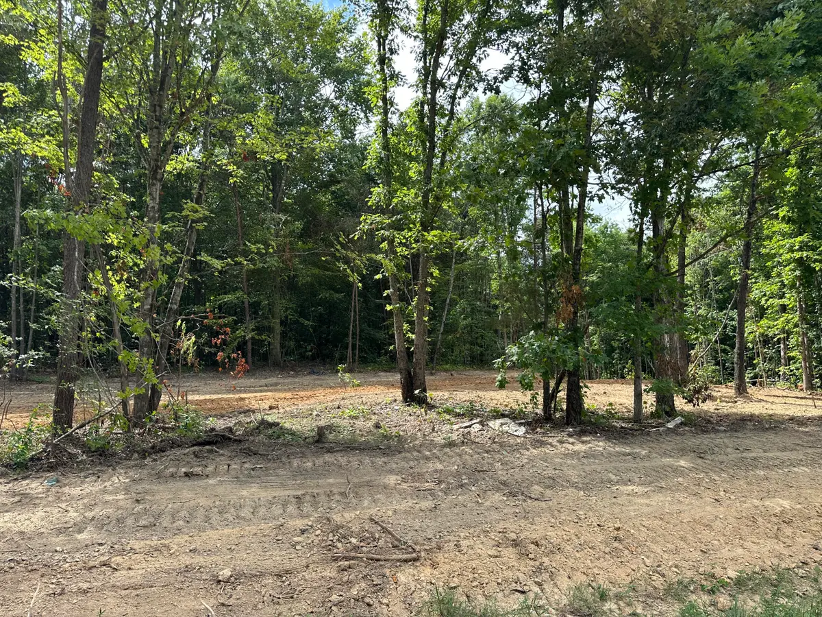 Tract 2 County Road 897, Etowah, TN 37331 - Image #1