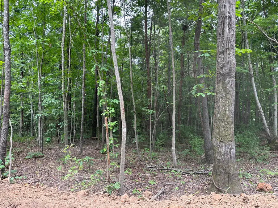 Tract 2 County Road 897, Etowah, TN 37331 - Image #3