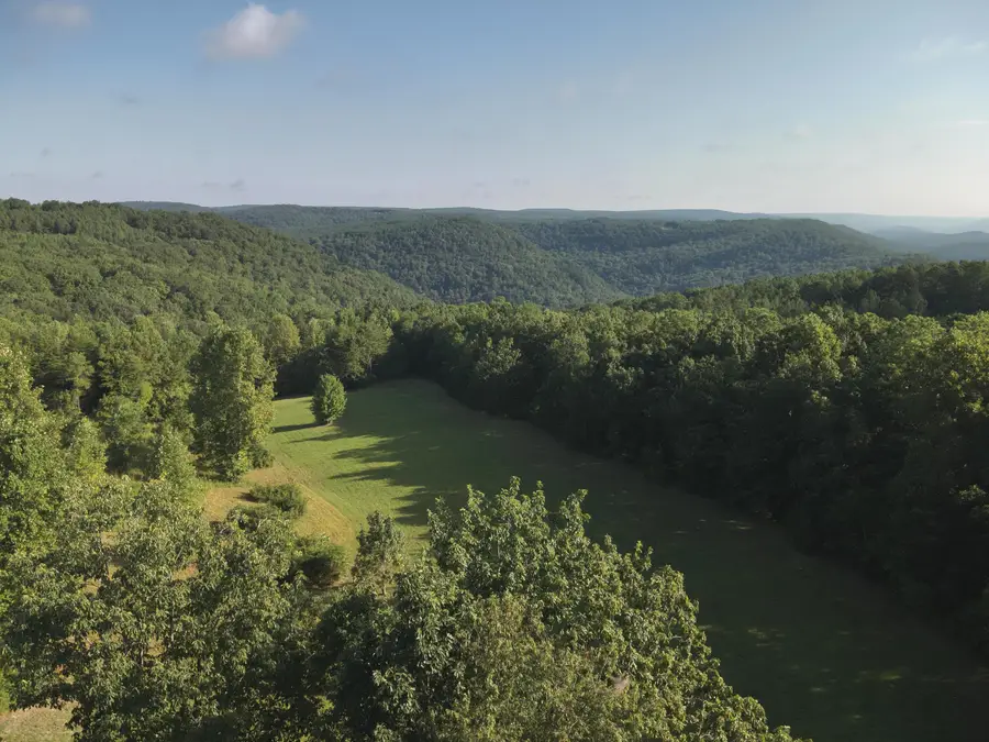 12315 Endless View, Flat Top Mountain, TN 37379 - Image #2