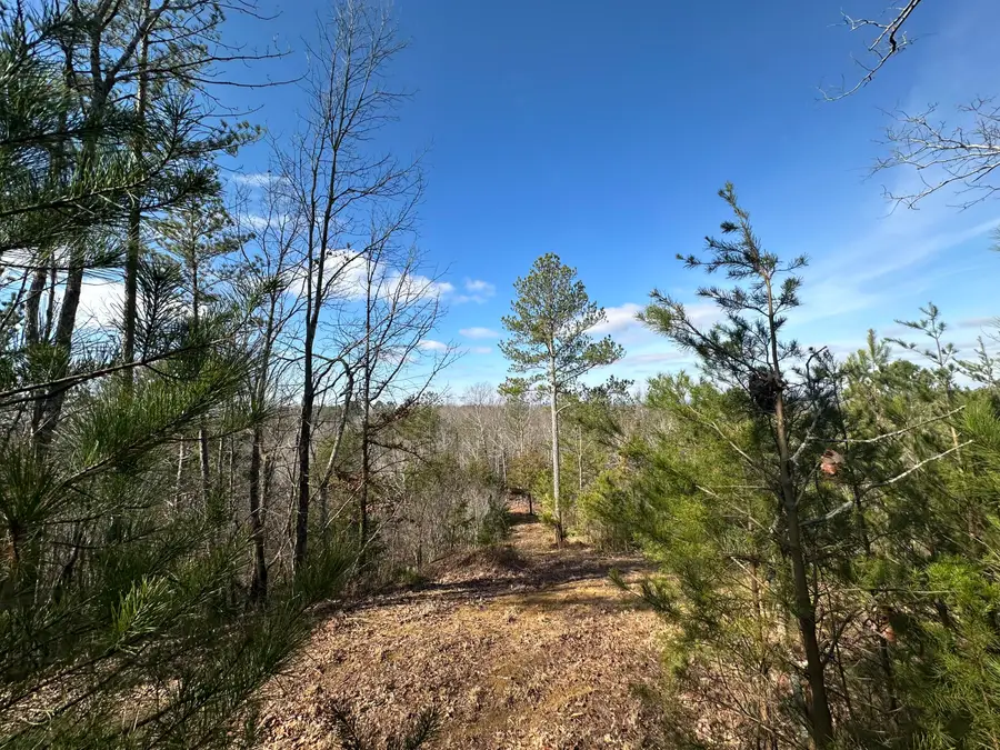 125 Fox Trail Drive, Old Fort, TN 37362 - Image #3