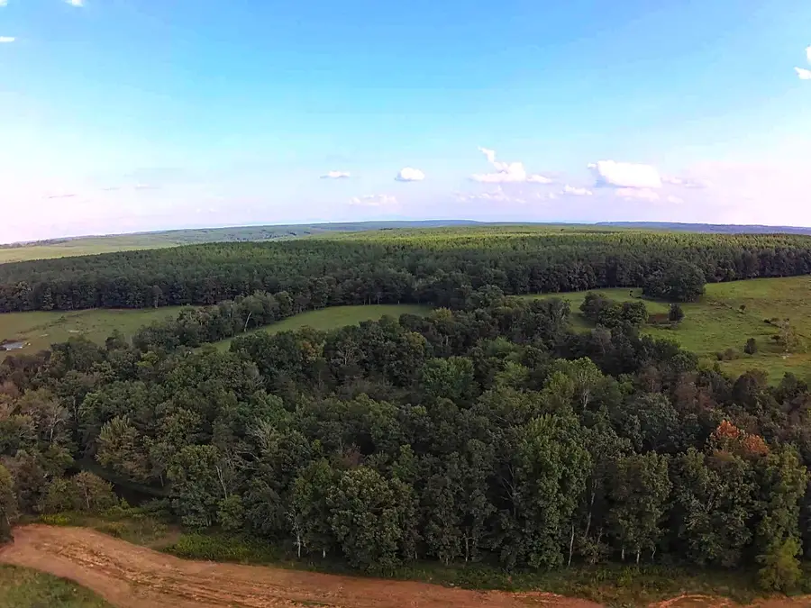 11.3 Acres Summer City Rd, Pikeville, TN 37367 - Image #2