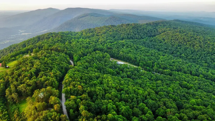 1794 Holloway Ridge Road, Spring City, TN 37381 - Image #2