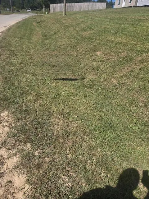 187 County Road 322, Sweetwater, TN 37874 - Image #2