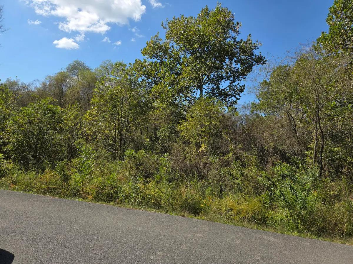 0 N Bucks Pocket Road Se, Old Fort, TN 37362 - Image #1