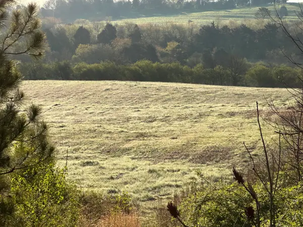 Lot 4 N Lee Highway, Cleveland, TN 37312