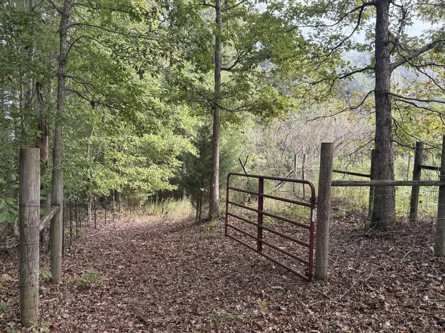 393 Humphreys Road, Philadelphia, TN 37846 - Image #2