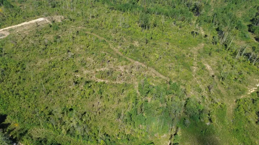 0 Carter Rd Ne Road Se, Cleveland, TN 37323 - Image #2