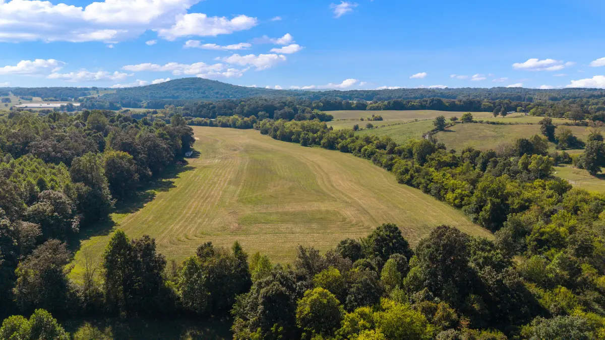 Lot 1 Highway 163, Delano, TN 37325 - Image #1