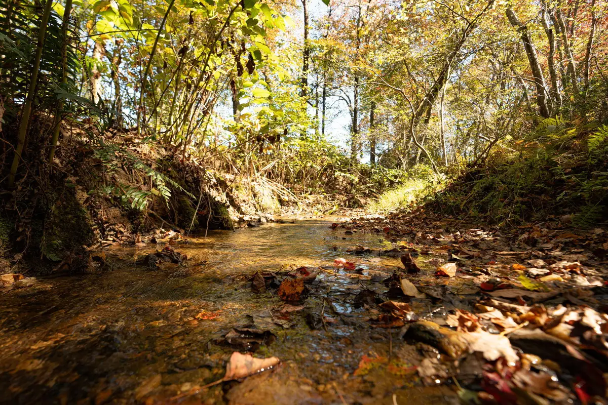 227 Mcallister Road, Copperhill, TN 37317 - Image #1