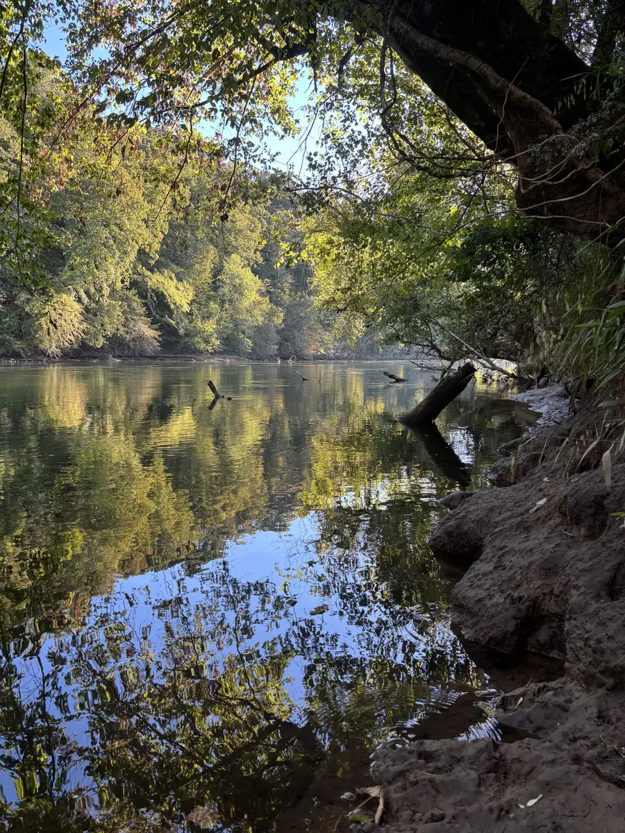 168 Moby Road, Delano, TN 37325 - Image #2