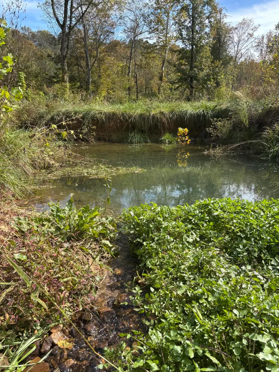 15634 Old State Hwy 28, Pikeville, TN 37367 - Image #3