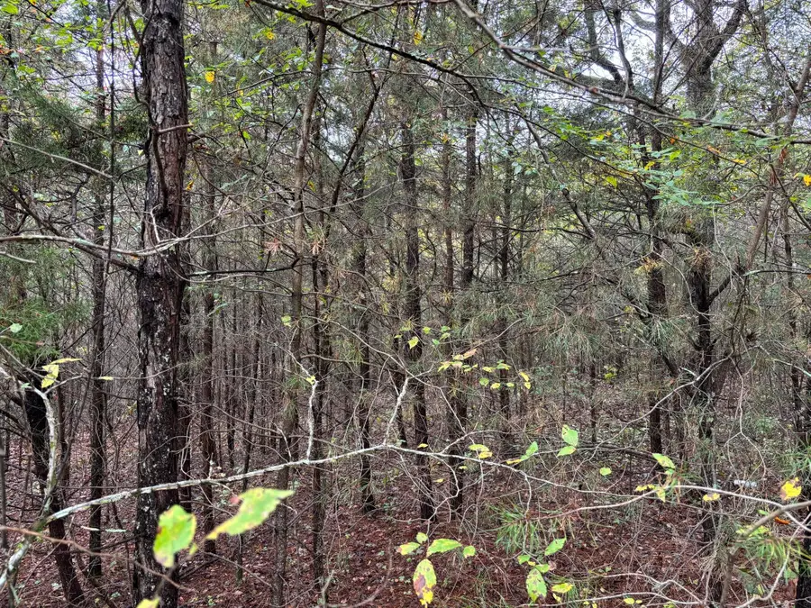 3 Countryside Drive, Dunlap, TN 37327 - Image #3