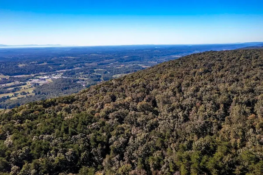 205 Tract Wash Pelfrey Road, Evensville, TN 37332 - Image #3