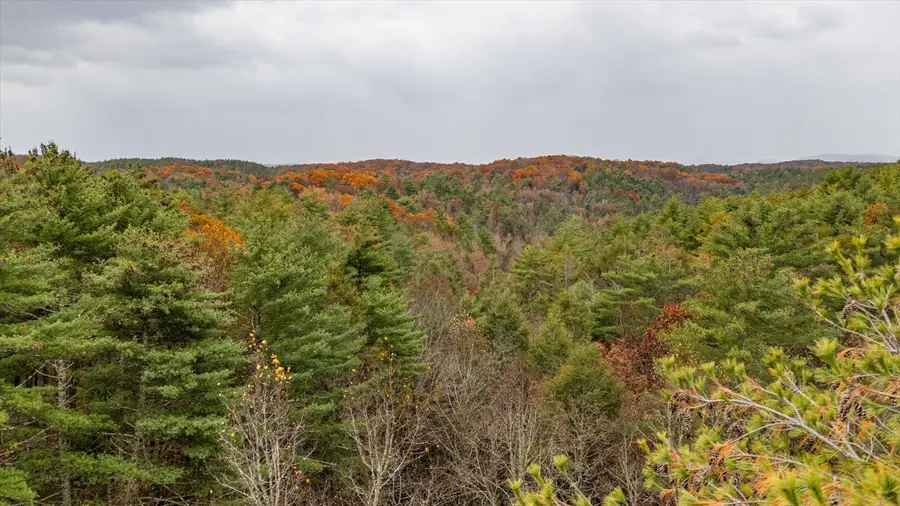 138 Bowater Road, Tellico Plains, TN 37385 - Image #3