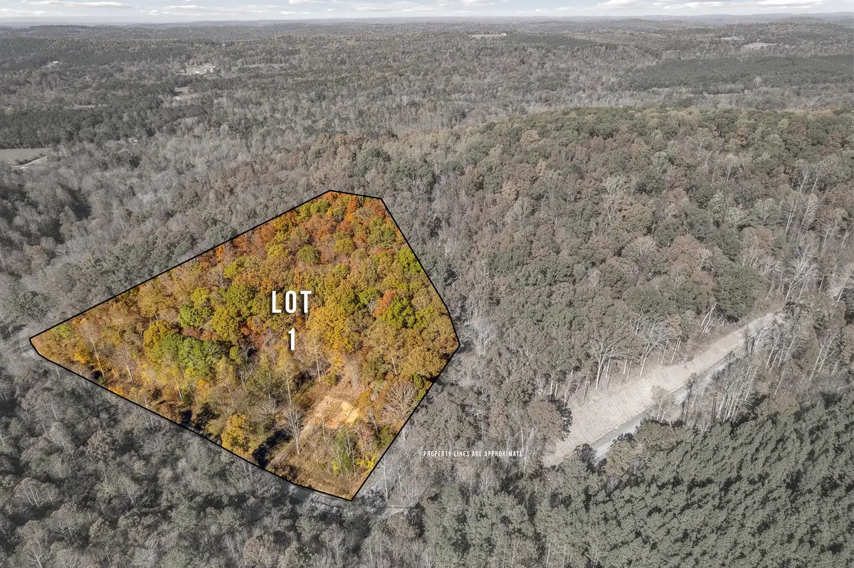 29 County Road, Riceville, TN 37370 - Image #1