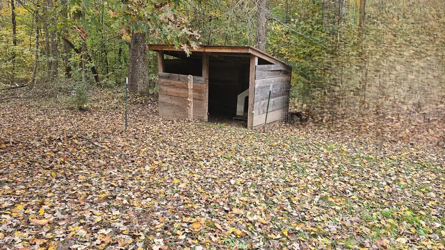 273 Henry Bidwell Lane, Decatur, TN 37322 - Image #3