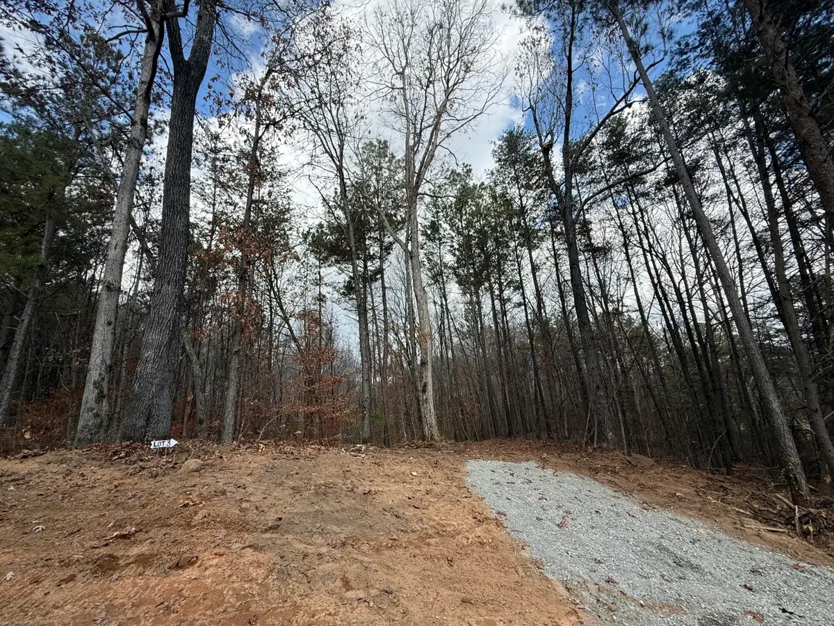 Lot 3 Parksville Road, Benton, TN 37307 - Image #1