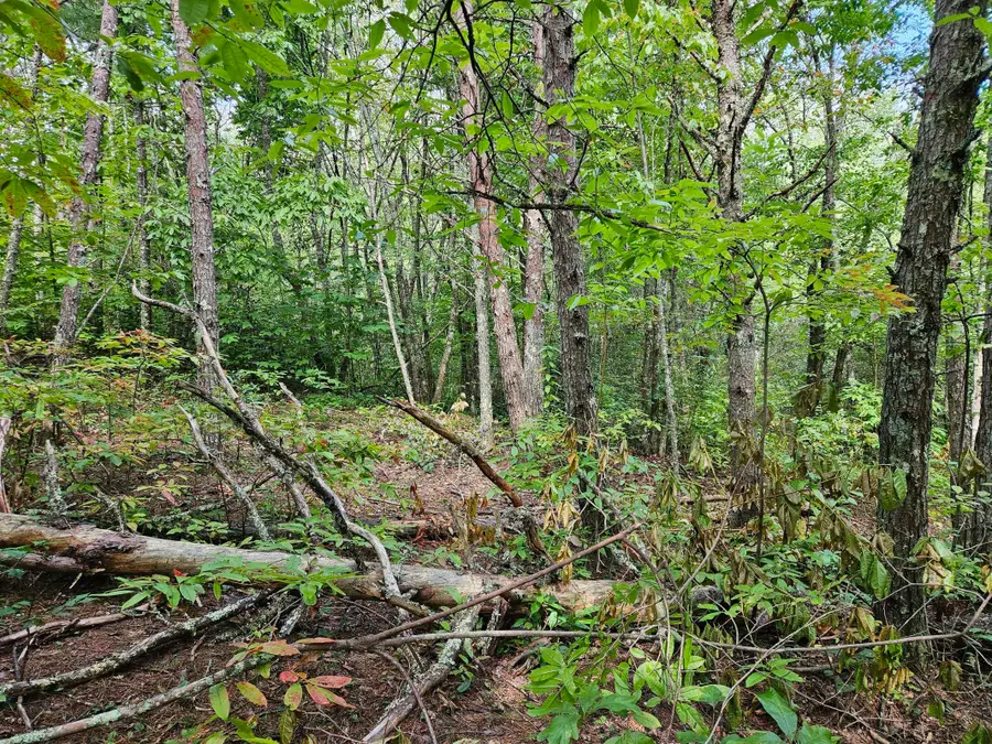 Lt 32 Belaire Drive, Copperhill, TN 37317 - Image #2