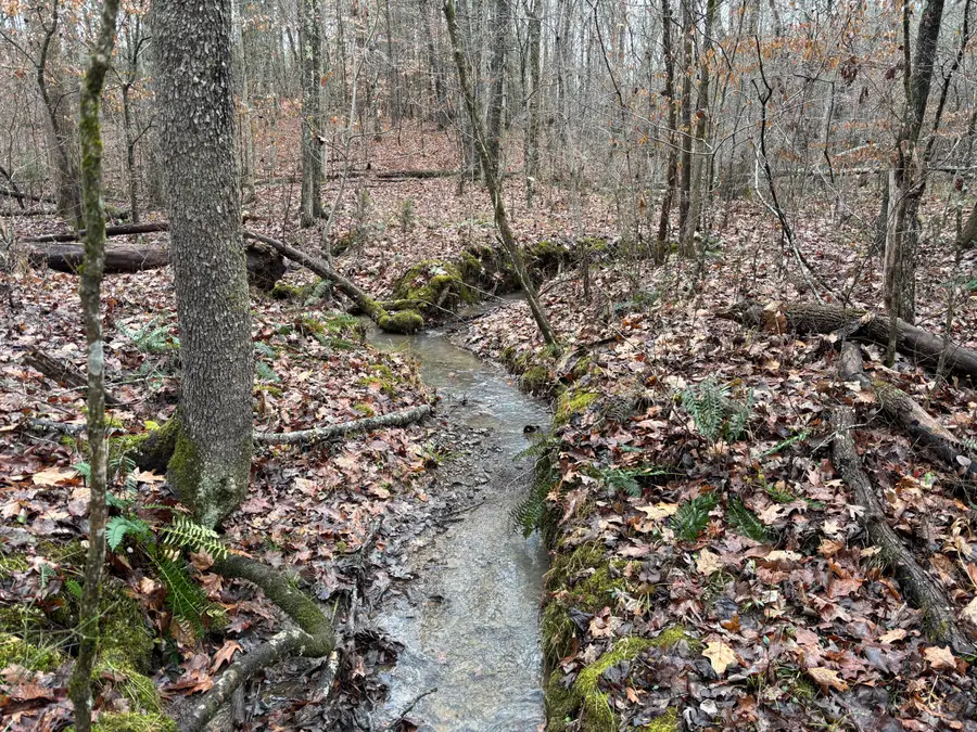 1500 N Guinn Narrows Road, Decatur, TN 37322 - Image #2